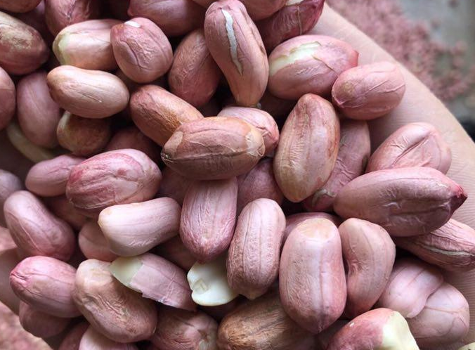 Detection of Aflatoxin in Peanuts