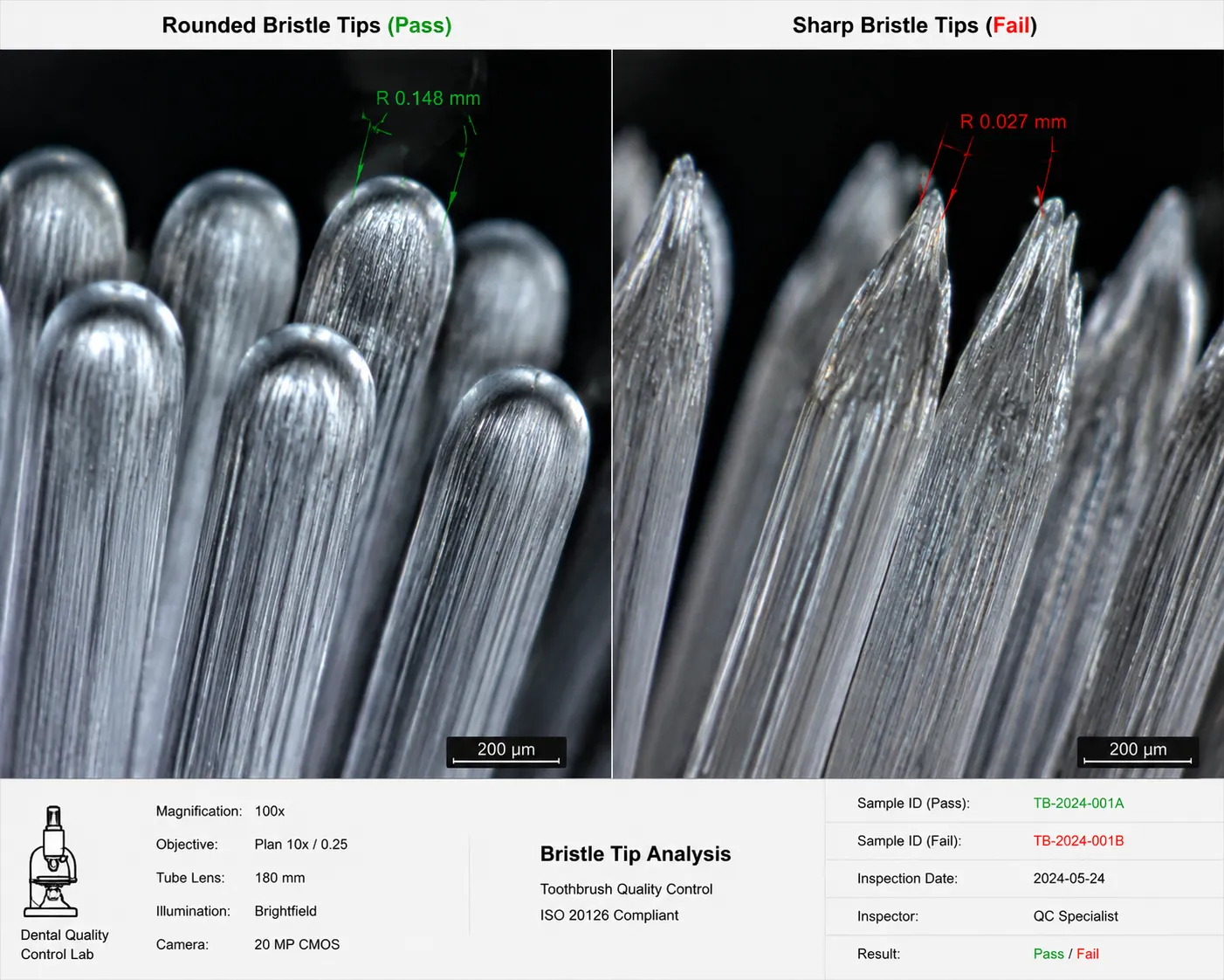 Microscopic examination of toothbrush bristle tips under high magnification, showing rounded vs sharp bristle ends for quality control